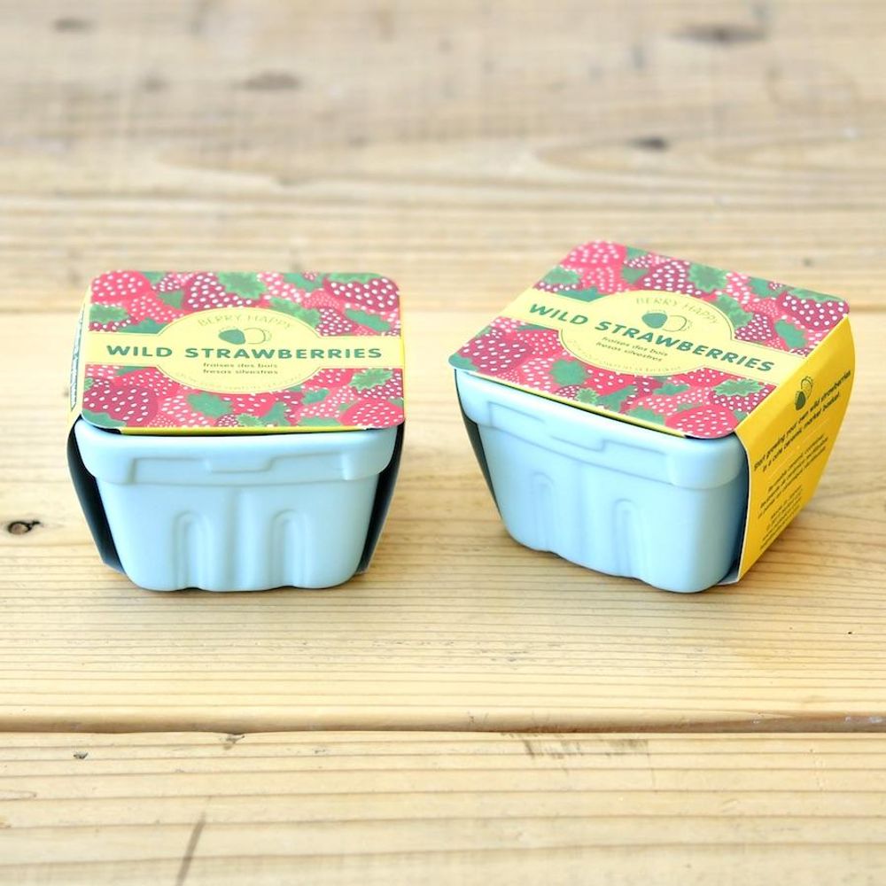 Accessoires de jardinage - Kit à cultiver - Berry Happy - NOTED