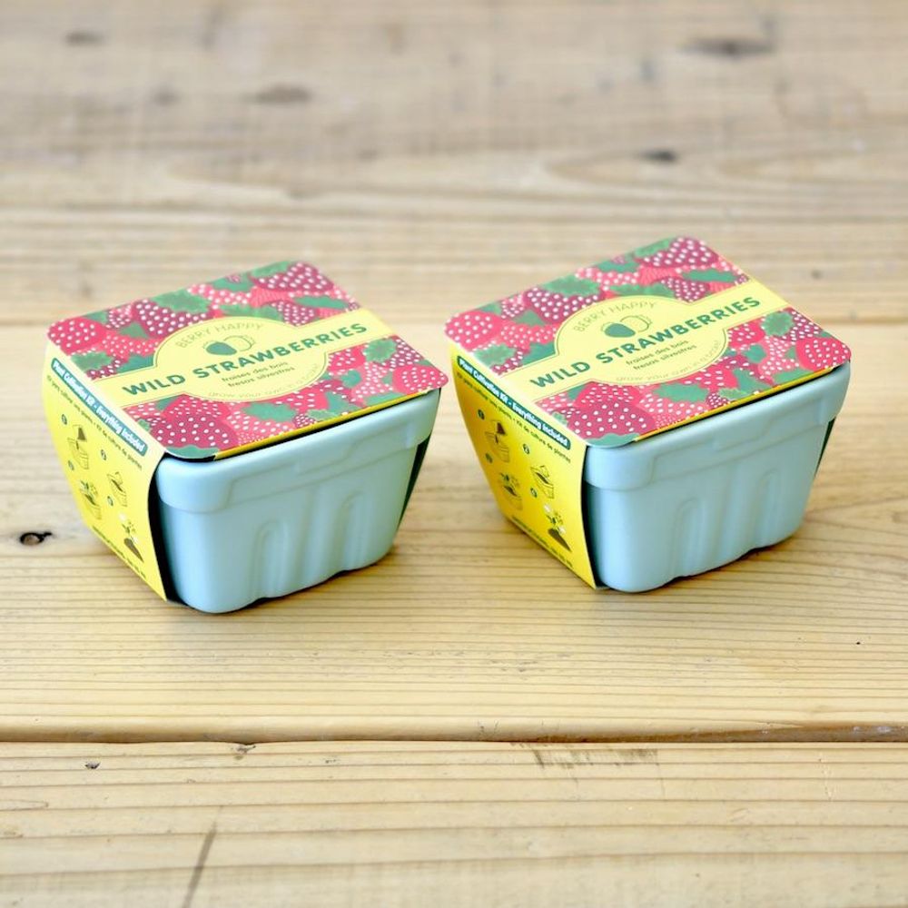 Accessoires de jardinage - Kit à cultiver - Berry Happy - NOTED