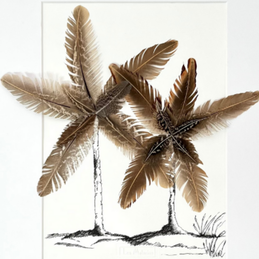 Cadres - TABLEAU PLUMES : BLACK PALMS - LES MATURINS