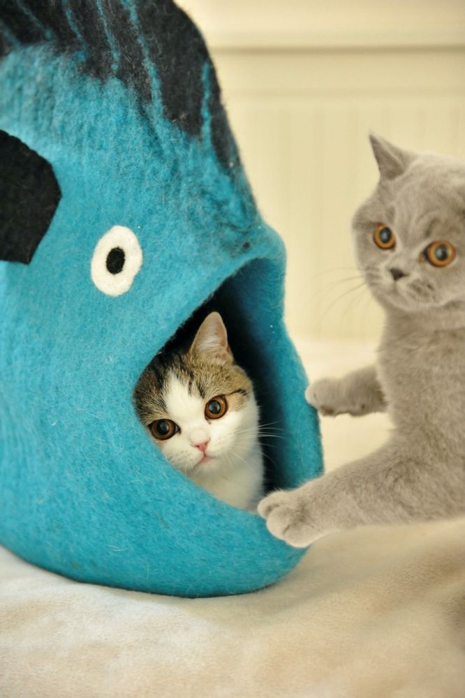 Design objects - Cat basket, cat bedding, sleeping bag for cats, cat cave, cat bed, children's room storage, storage. - COCOON PARIS