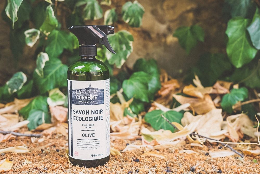 Savons - Savon noir liquide à l'huile d'olive - SAVONNERIE DU MIDI 1894 LA CORVETTE