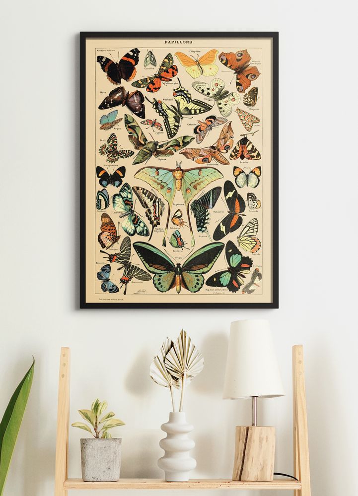 Affiches - Poster Vintage Papillons - Millot - ESQUE