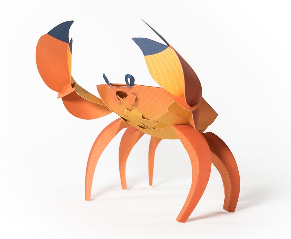 Children's decorative items - Cancridae - PLEGO