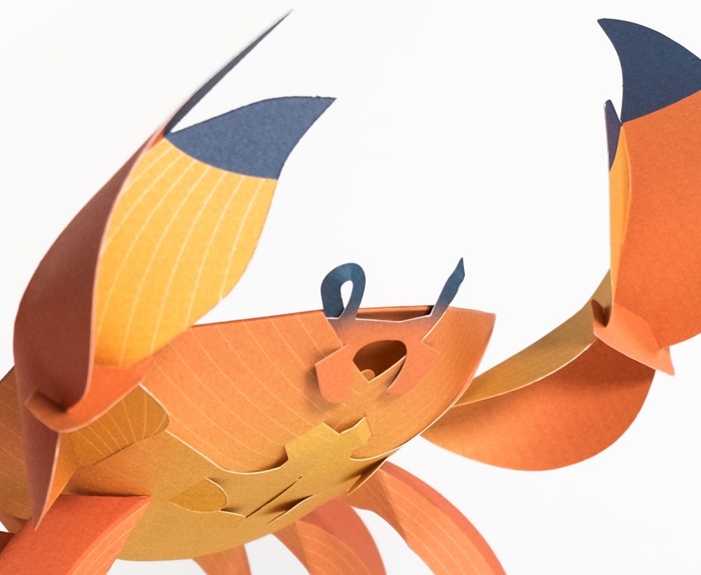 Children's decorative items - Cancridae - PLEGO