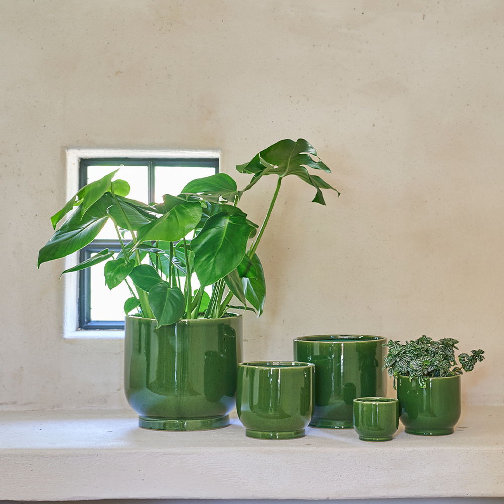 Poterie - Pot d'intérieur en céramique LUUK  - D&M DECO