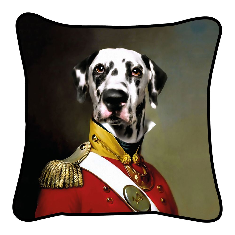 Fabric cushions - Historical Portraits - Tee Shirt Nike - BLUE SHAKER