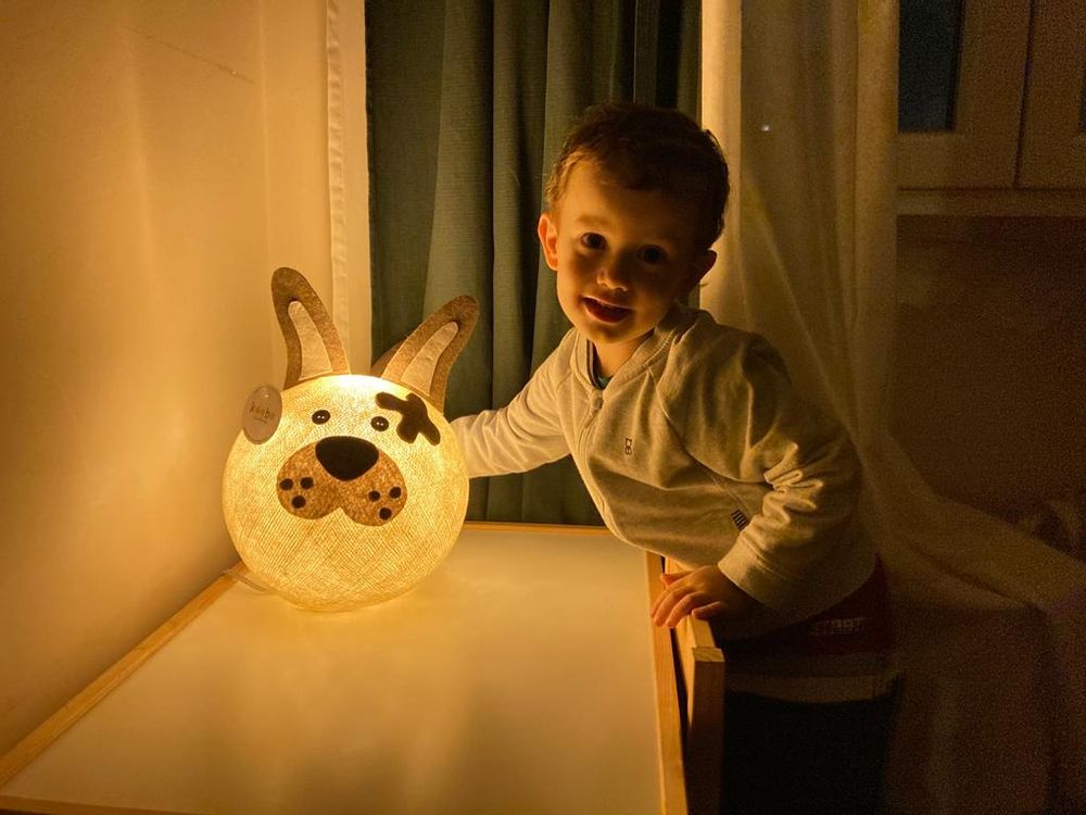 Children's lighting - Koobo Zoo children's bedroom bedside lamps - KID DISTRI-SODIME