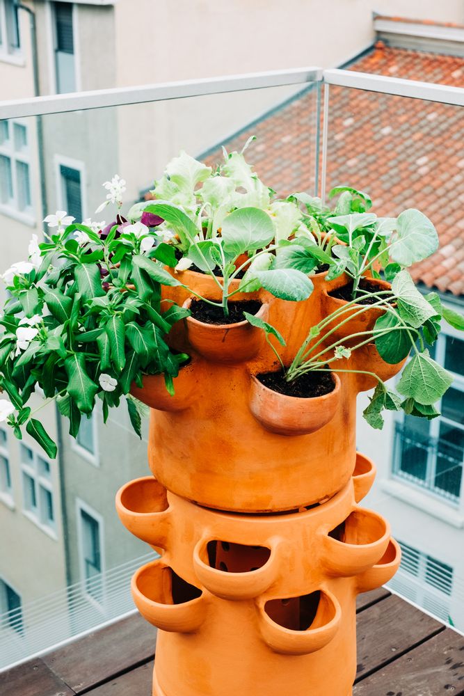 Garden accessories - Compost gardener (2) - CEERCLE