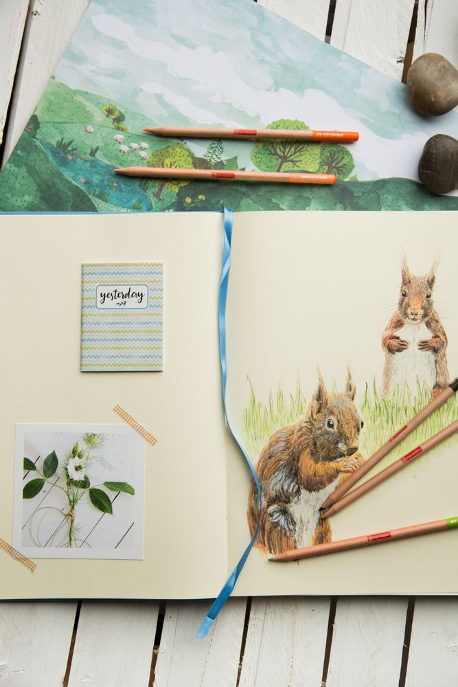 Pens and pencils - Royal Talens - ROYAL TALENS