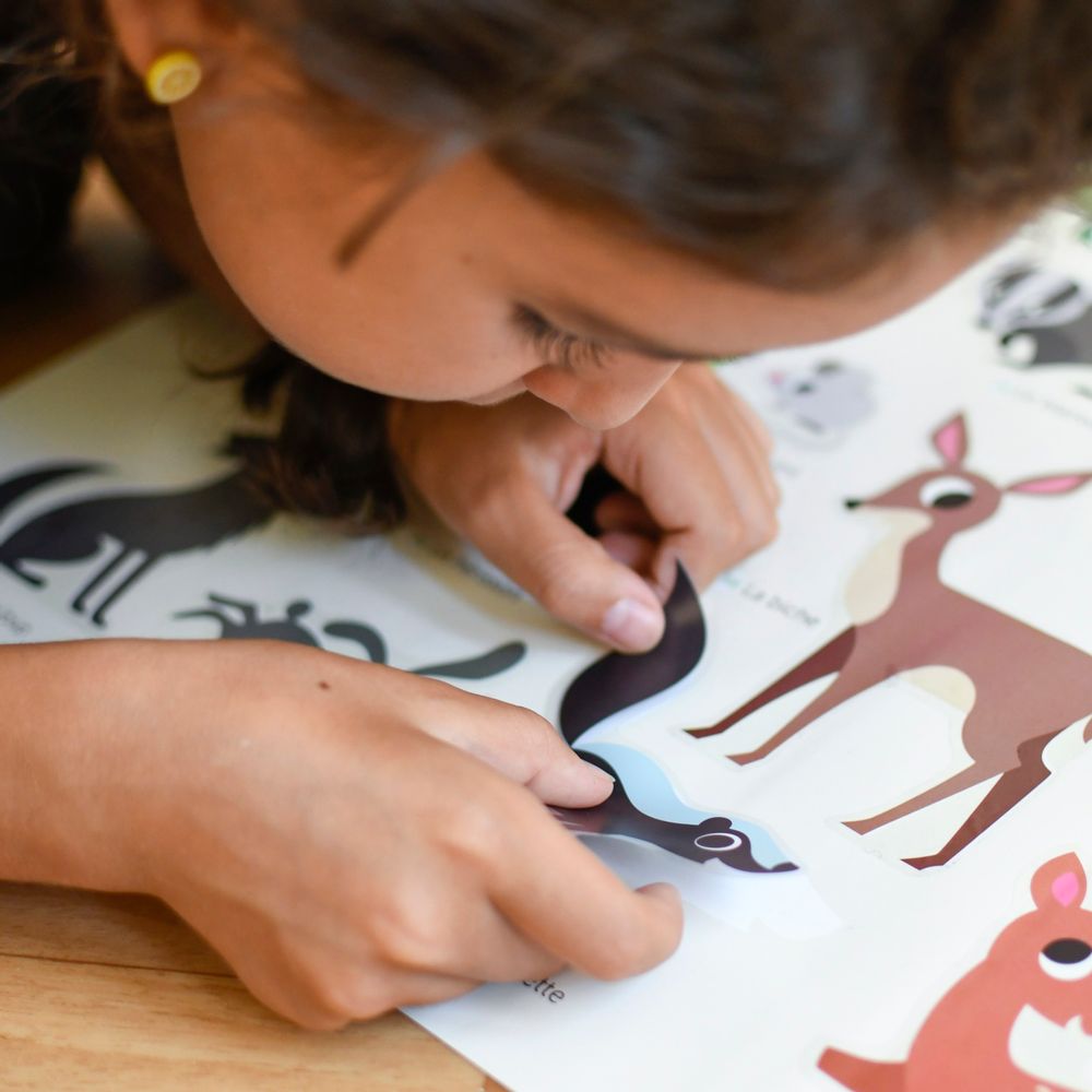 Jeux enfants - Poster éducatif + 60 stickers - LA FORÊT - POPPIK - BAYARD JEUNESSE