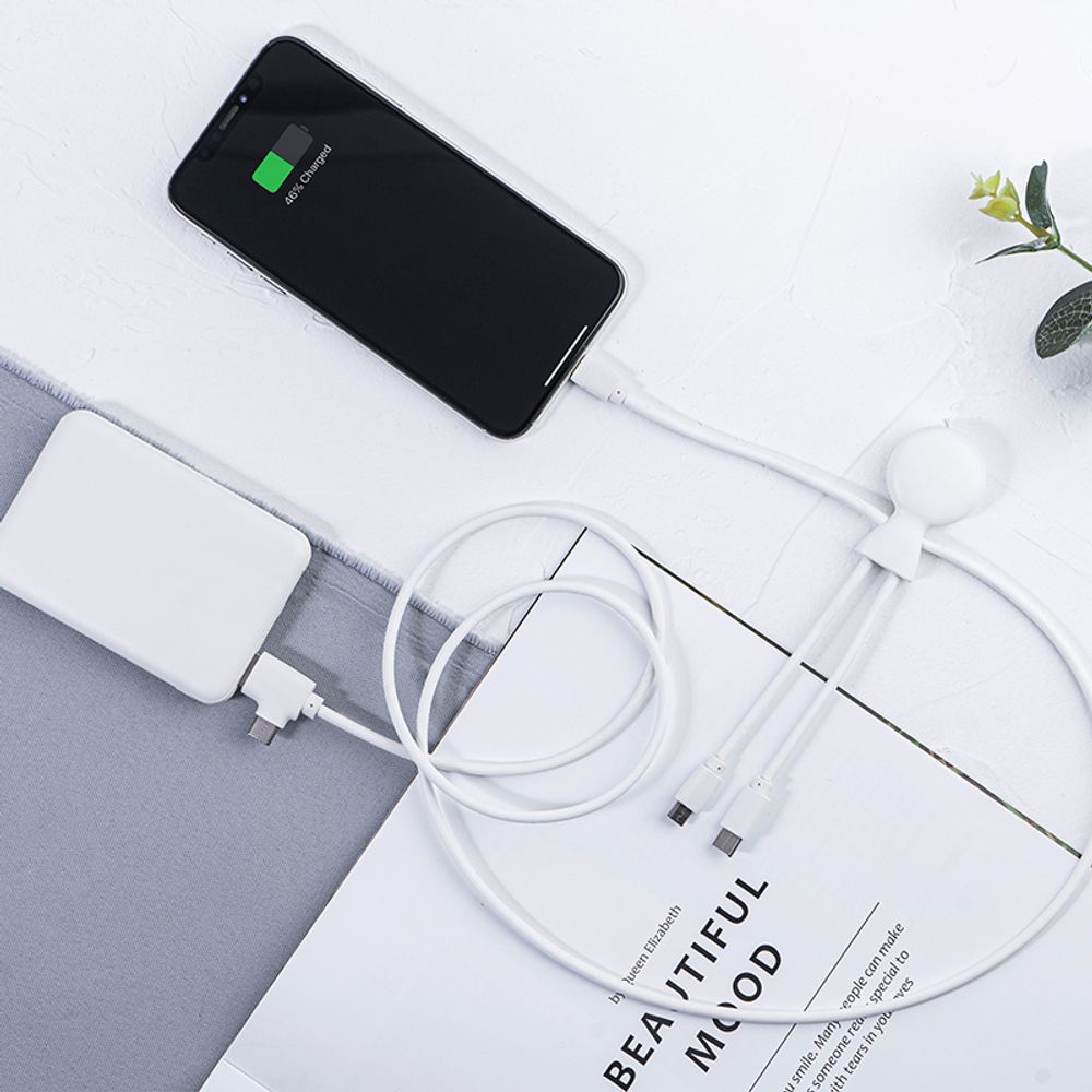 Decorative objects - Powerbank - Mr Bio Pack Long - XOOPAR