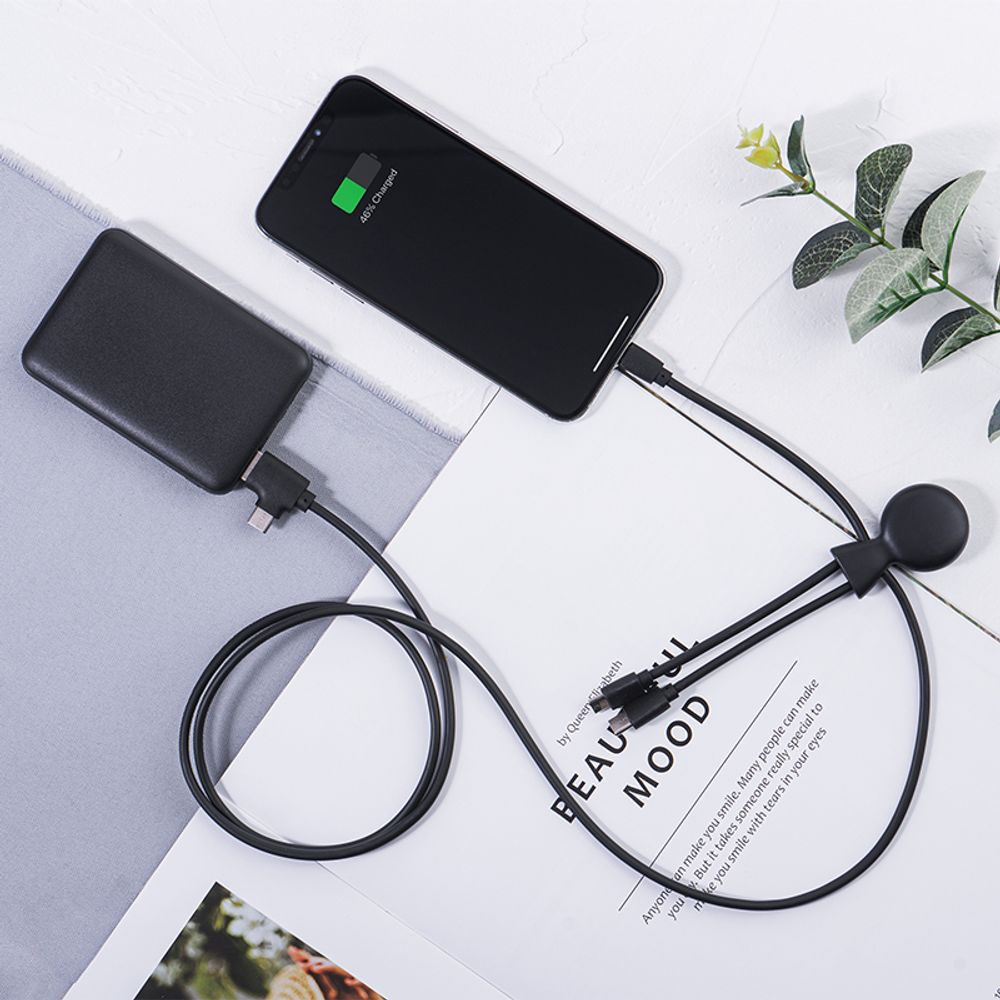 Decorative objects - Powerbank - Mr Bio Pack Long - XOOPAR