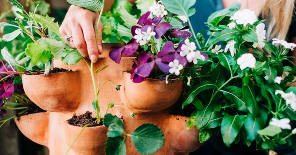 Accessoires de jardinage - Le composteur à planter - CEERCLE