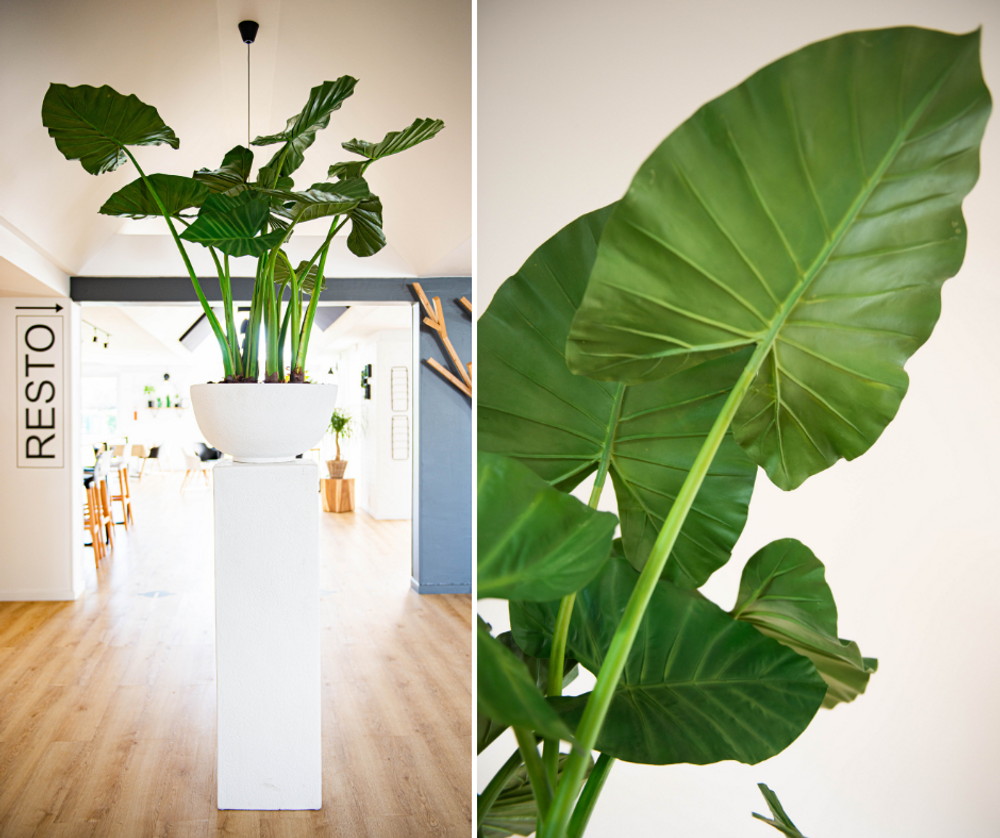 Décorations florales - Alocasia - Plante artificielle - Lou de Castellane - LOU DE CASTELLANE