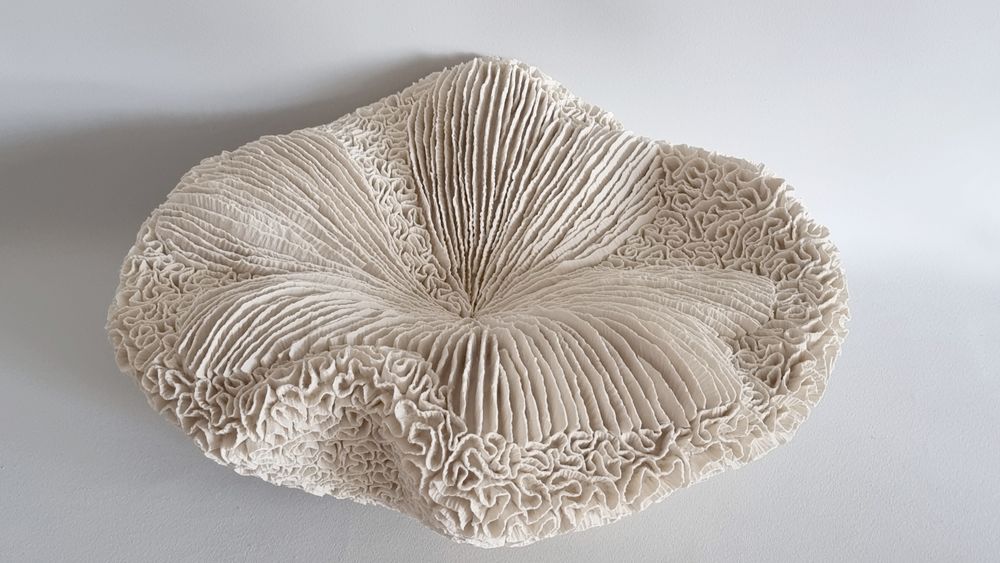 Céramique - COUSSIN DE REQUIN - MARIK KORUS