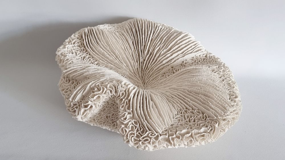 Céramique - COUSSIN DE REQUIN - MARIK KORUS