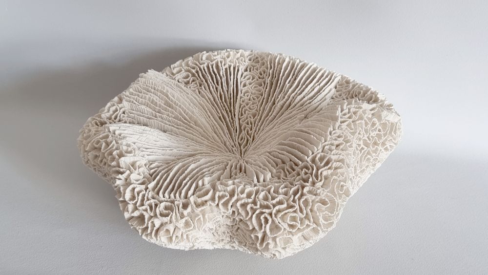 Céramique - COUSSIN DE REQUIN - MARIK KORUS