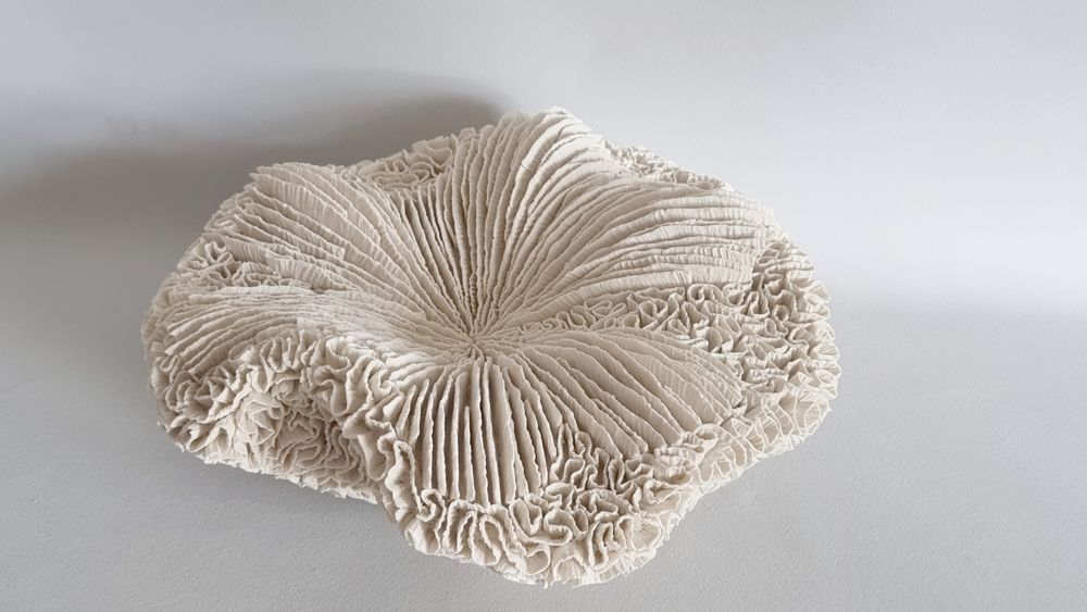 Céramique - COUSSIN DE REQUIN - MARIK KORUS