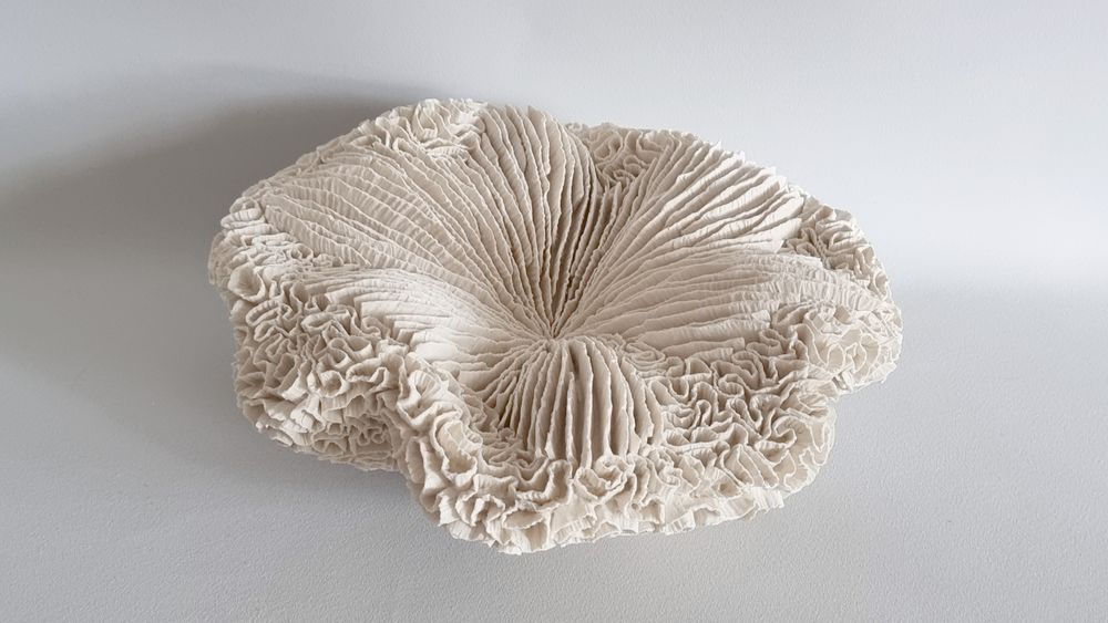 Céramique - COUSSIN DE REQUIN - MARIK KORUS