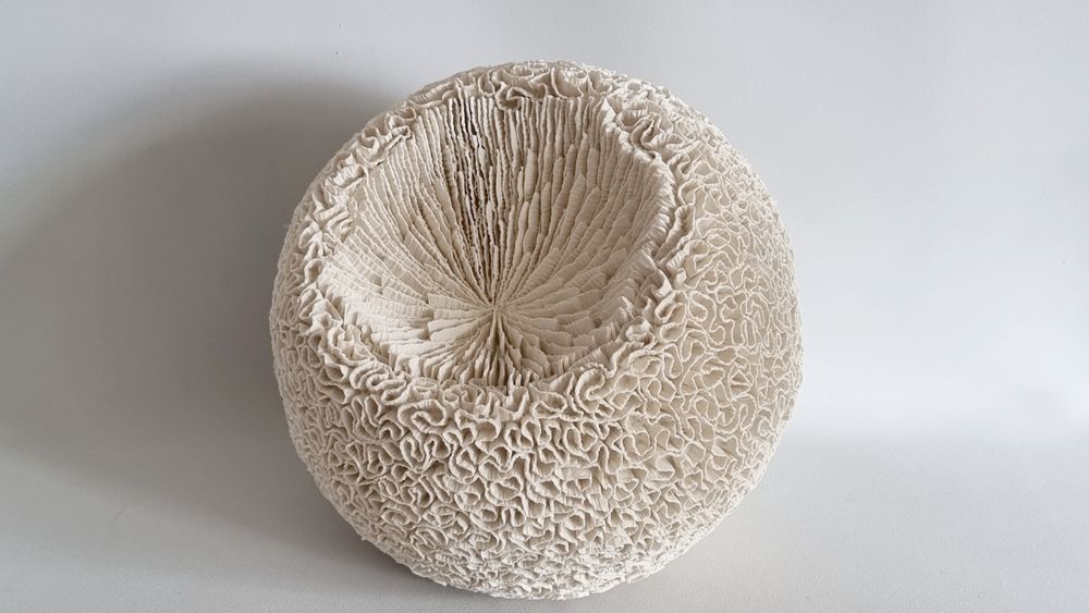 Ceramic - MONTIPORA - MARIK KORUS
