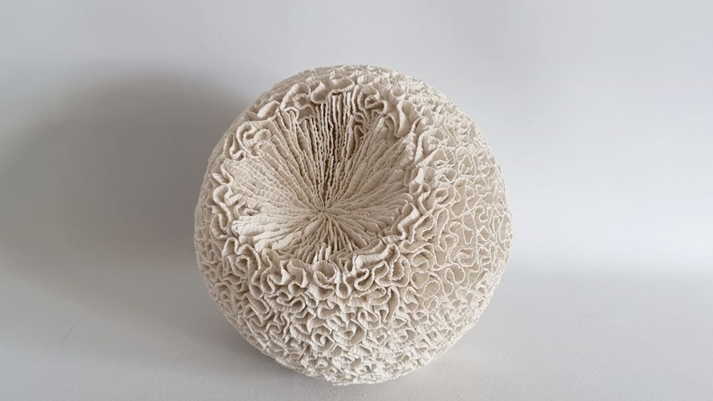Ceramic - MONTIPORA - MARIK KORUS