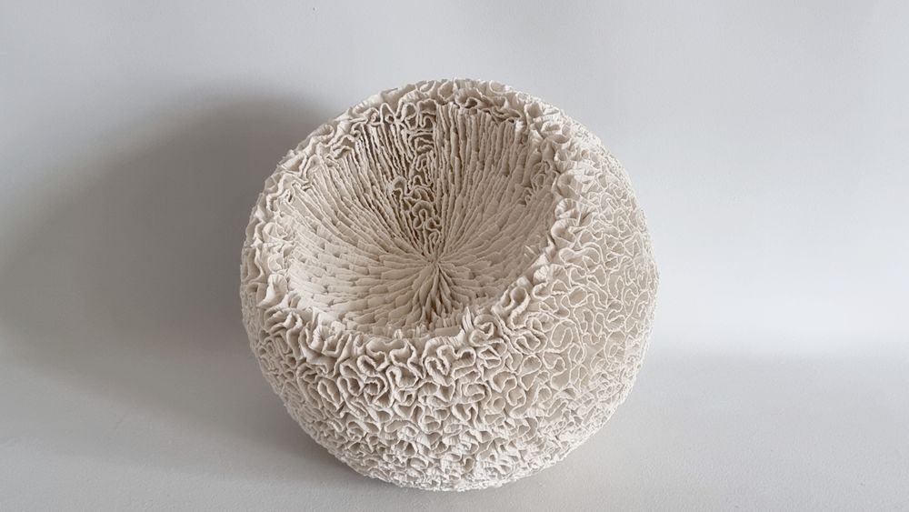 Ceramic - MONTIPORA - MARIK KORUS