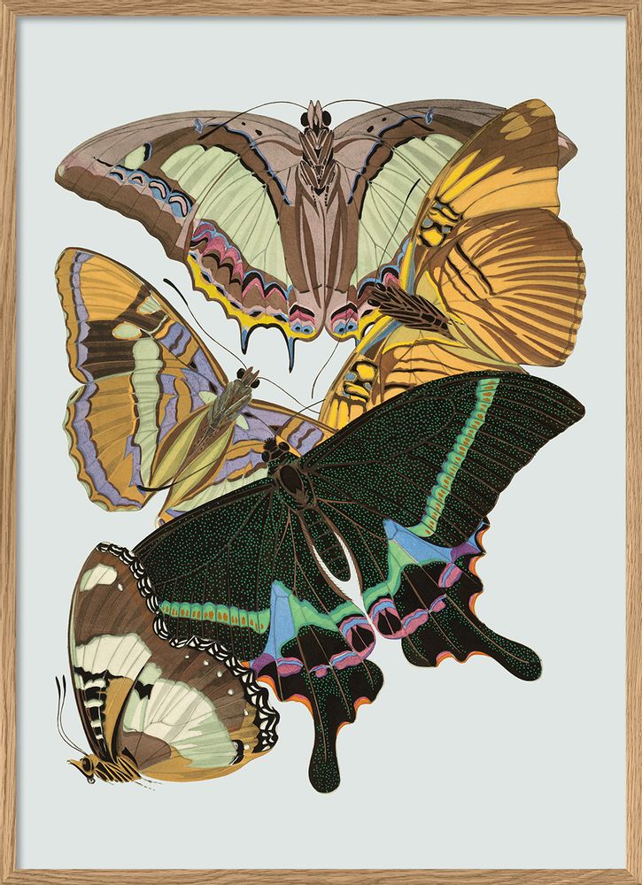 Hotel bedrooms - Poster Butterflies. - THE DYBDAHL CO.