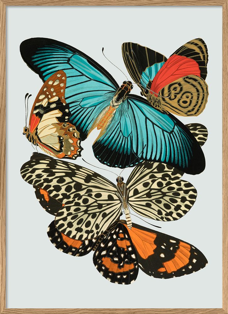 Hotel bedrooms - Poster Butterflies. - THE DYBDAHL CO.