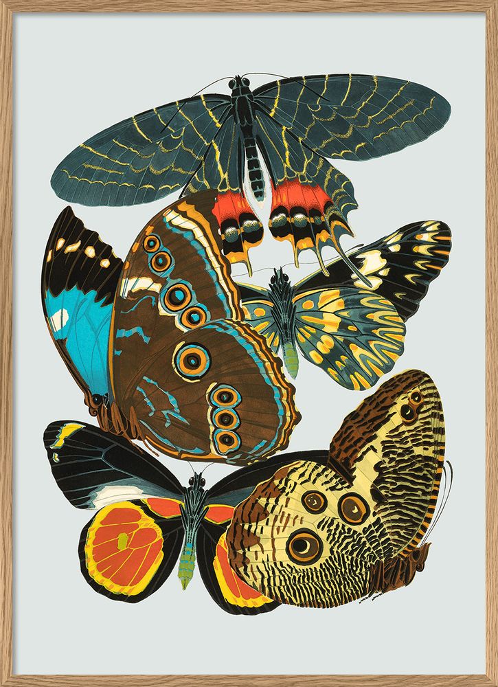 Hotel bedrooms - Poster Butterflies. - THE DYBDAHL CO.