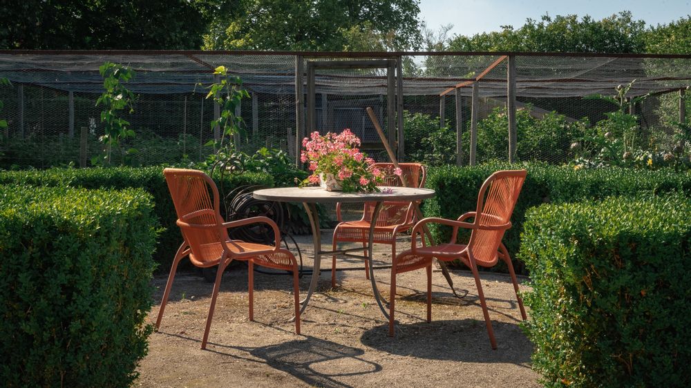 Lawn chairs - Loop dining chair - VINCENT SHEPPARD
