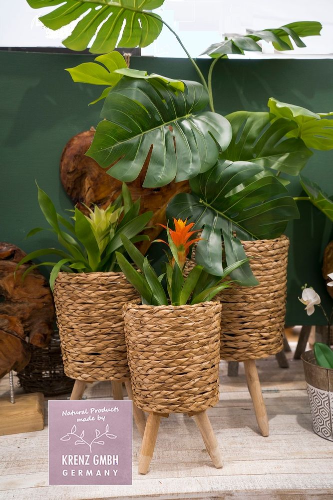 Decorative objects - Wood baskets and pots - KRENZ GMBH HOME & GARDEN