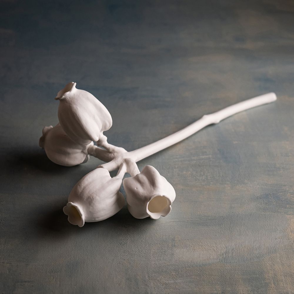 Objets de décoration - Bol/vase en porcelaine fait main - FRUCTUS STERCULIA - KLATT OBJECTS
