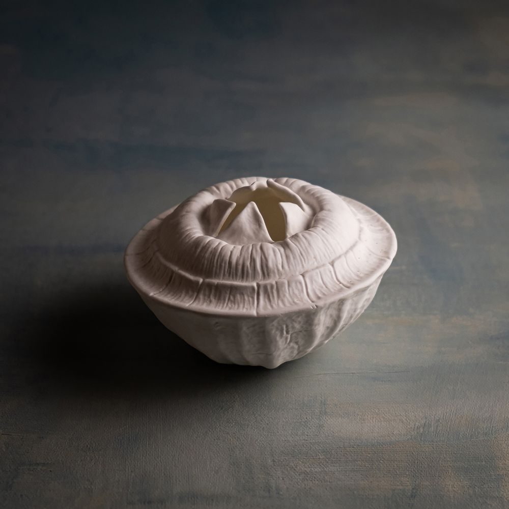Objets de décoration - Bol/vase en porcelaine fait main - FRUCTUS STERCULIA - KLATT OBJECTS