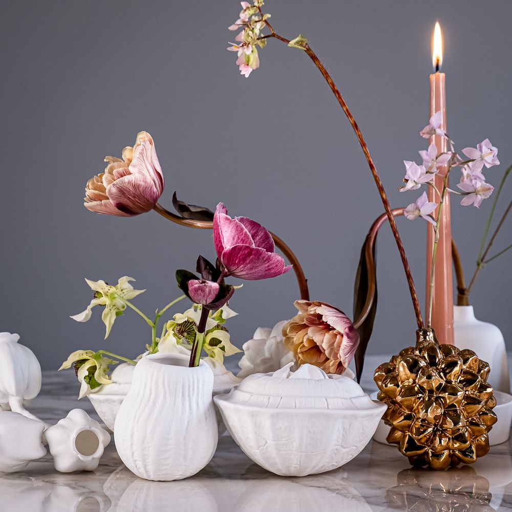 Objets de décoration - Bol/vase en porcelaine fait main - FRUCTUS STERCULIA - KLATT OBJECTS