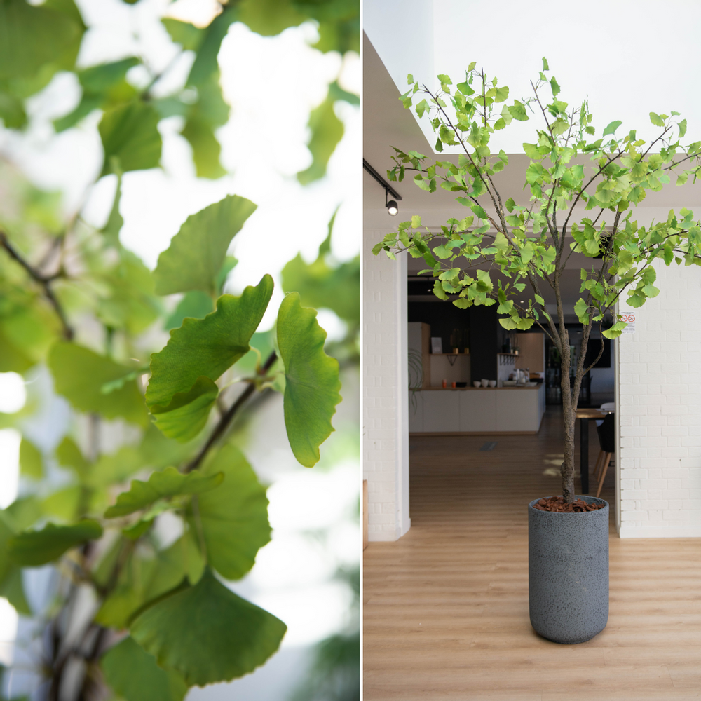 Floral decoration - Ginko - LOU DE CASTELLANE - artificial plants and flowers - LOU DE CASTELLANE