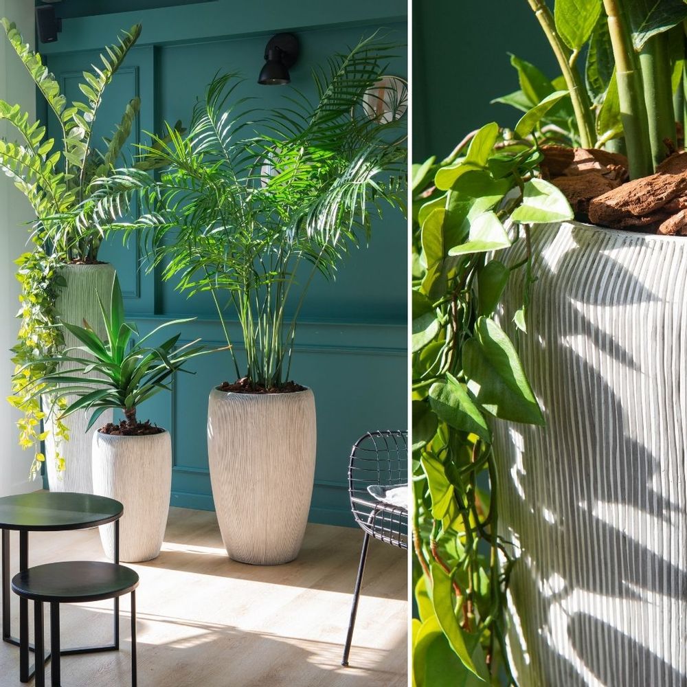 Floral decoration - Plants - LOU DE CASTELLANE - artificial plants and flowers - LOU DE CASTELLANE