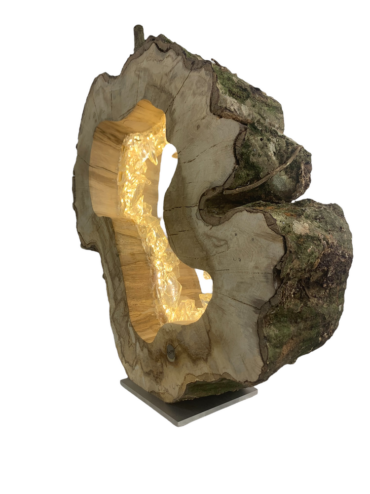 Sculptures, statuettes and miniatures - Bark ring 40 cm - ARANGO