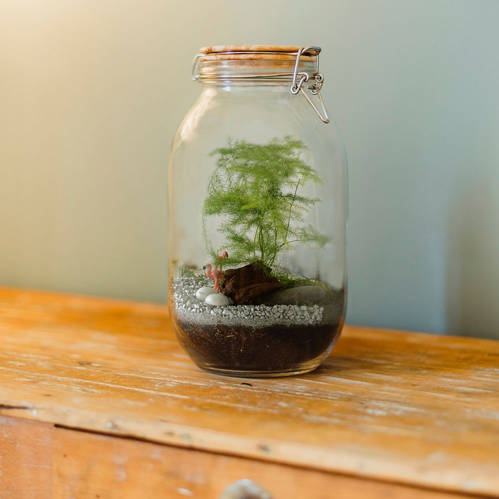 Gifts - Basalt pot collection with seeds to grow - RADIS ET CAPUCINE
