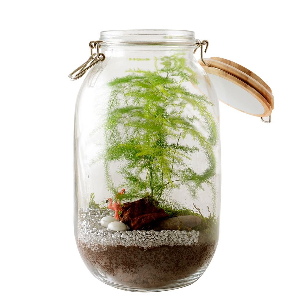 Gifts - Basalt pot collection with seeds to grow - RADIS ET CAPUCINE