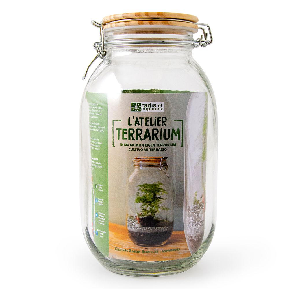 Gifts - Basalt pot collection with seeds to grow - RADIS ET CAPUCINE