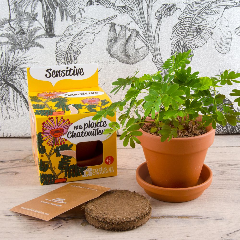 Cadeaux - Plantes extraordinaires - RADIS ET CAPUCINE