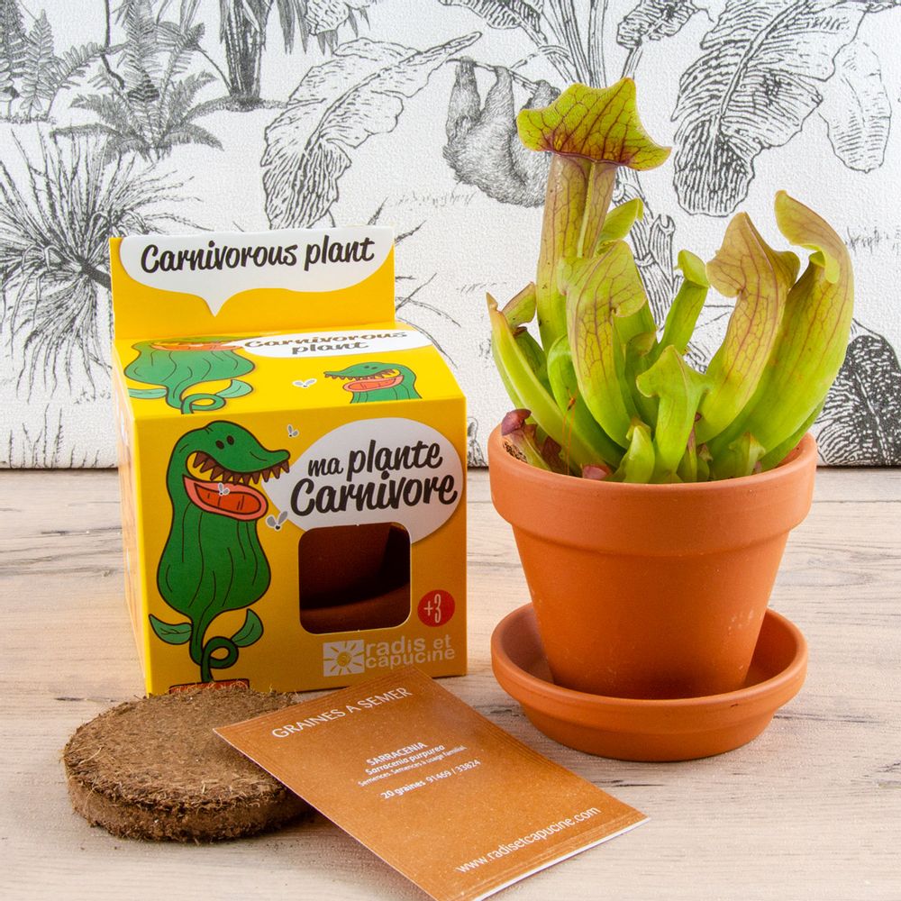 Cadeaux - Plantes extraordinaires - RADIS ET CAPUCINE