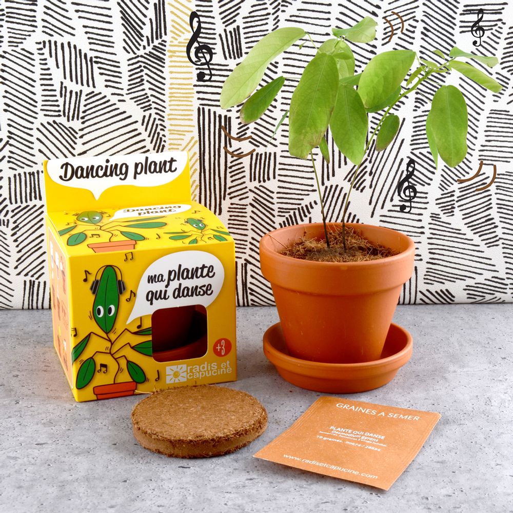 Cadeaux - Plantes extraordinaires - RADIS ET CAPUCINE