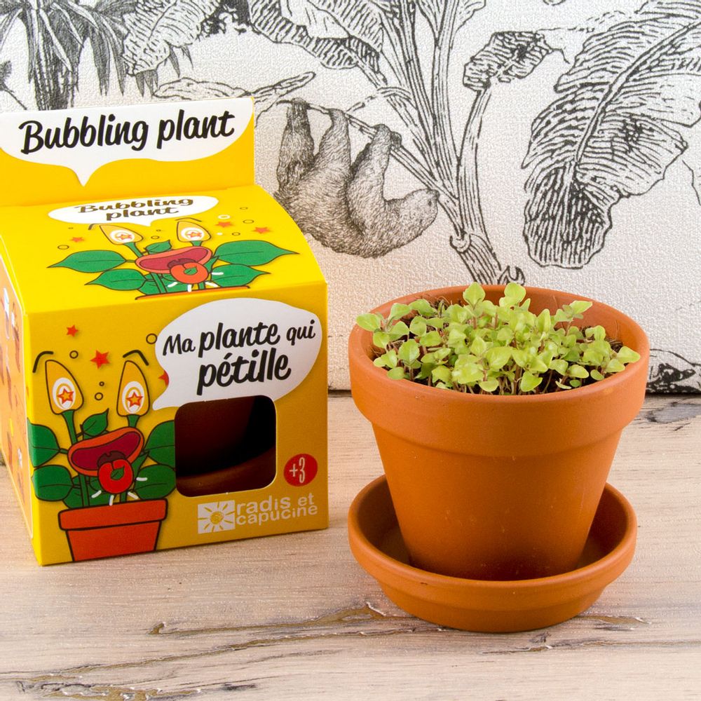 Cadeaux - Plantes extraordinaires - RADIS ET CAPUCINE