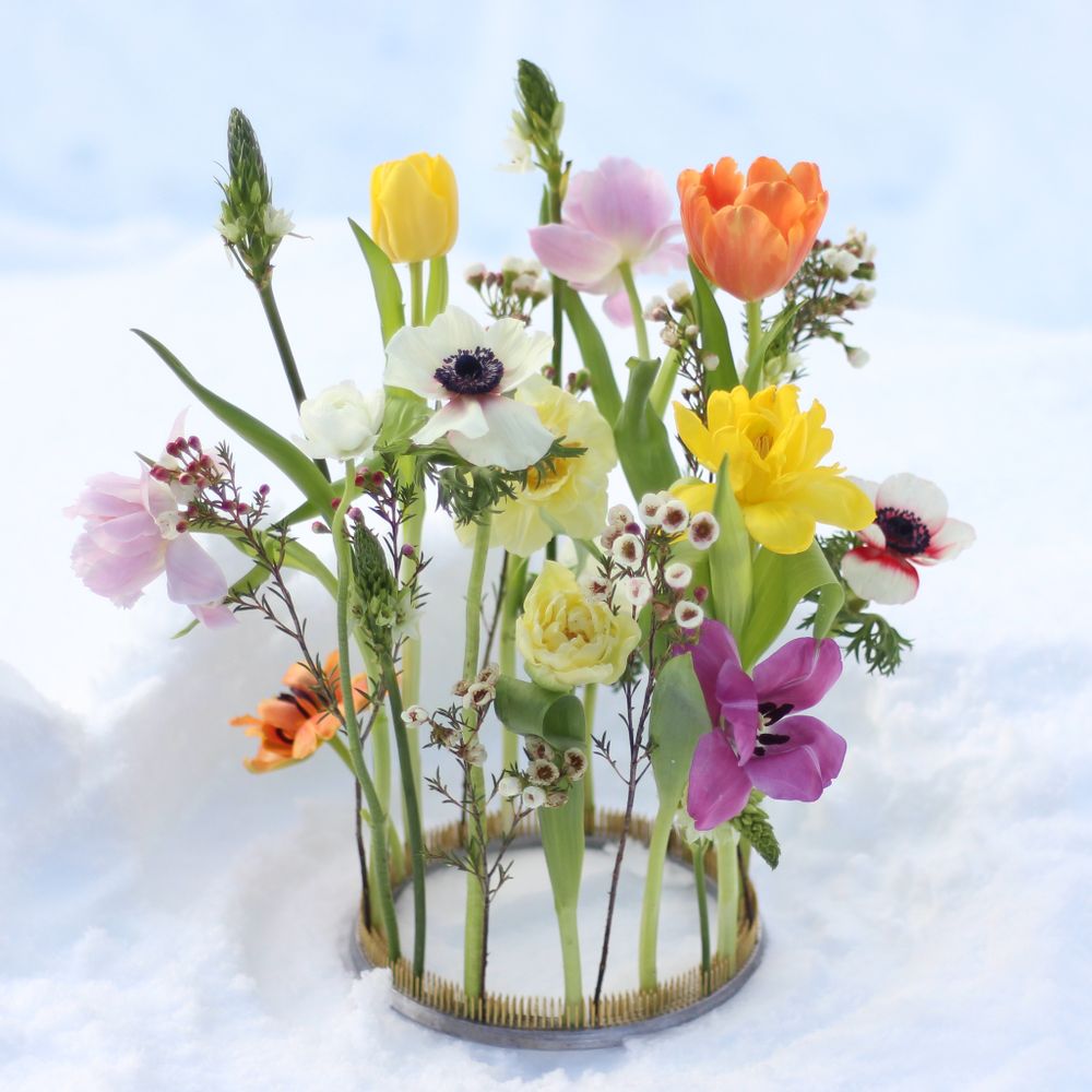 Floral decoration - Kenzan Ring - HANATABA - THE BOUQUETMAKER