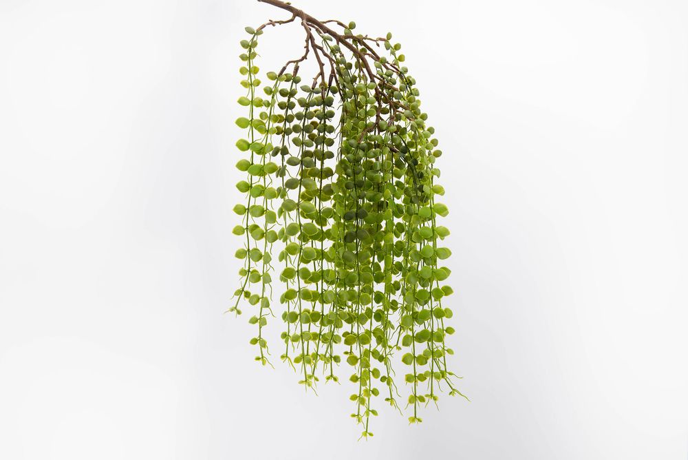 Floral decoration - Fern fall H60 - LOU DE CASTELLANE