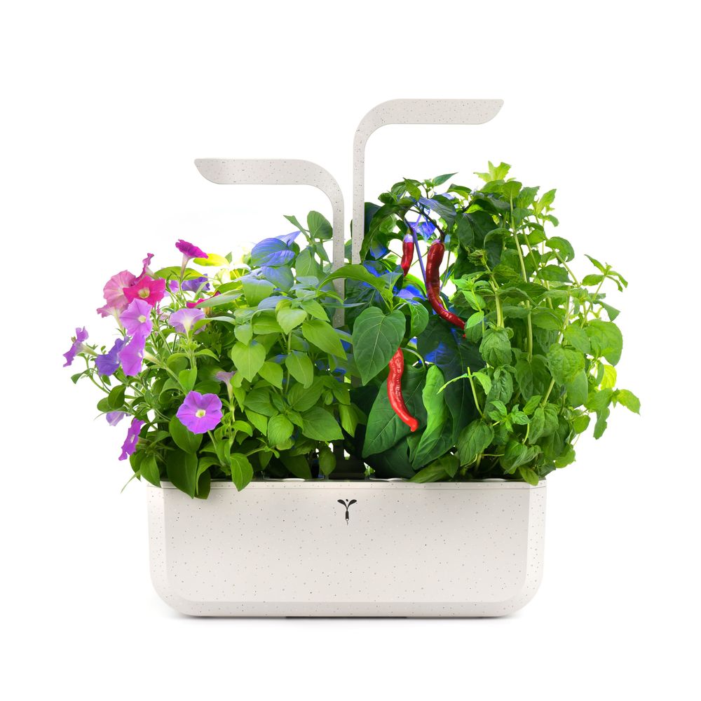 Objets design - Potager Véritable® SMART REBORN - VERITABLE