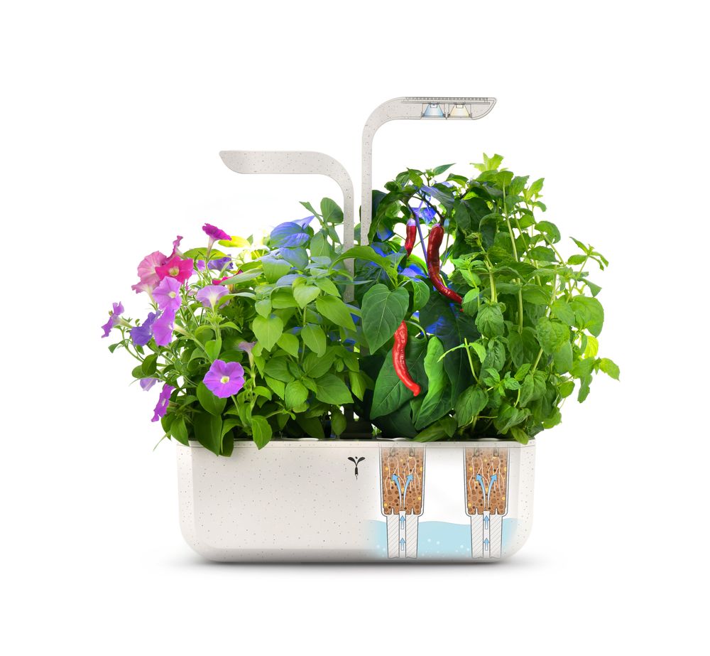 Objets design - Potager Véritable® SMART REBORN - VERITABLE