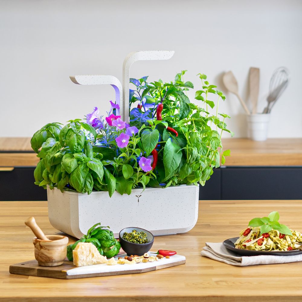 Objets design - Potager Véritable® SMART REBORN - VERITABLE