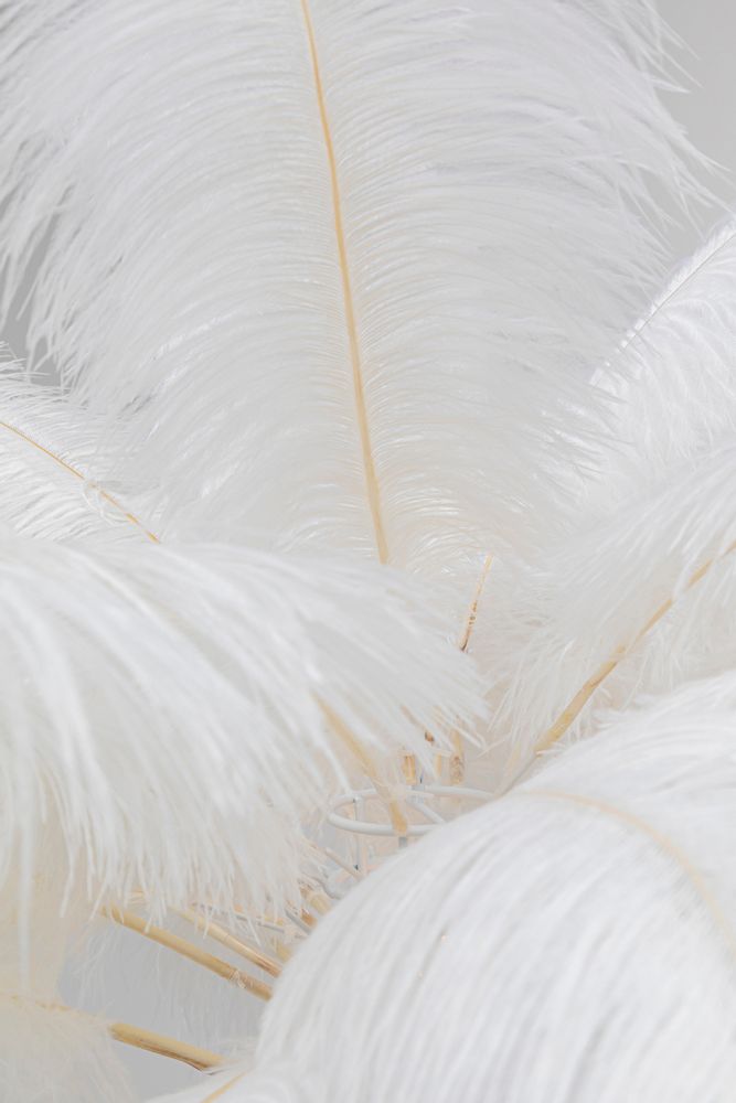 Floor lamps - Floor Lamp Feather Palm White 165cm - KARE DESIGN